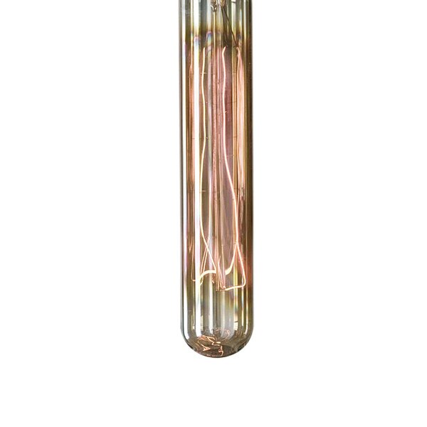 T30 Vintage 60 Watt Light Bulb